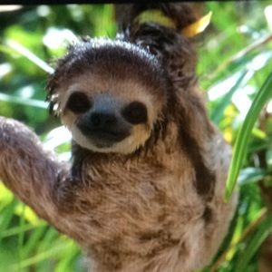 Meet your Posher, Hailey